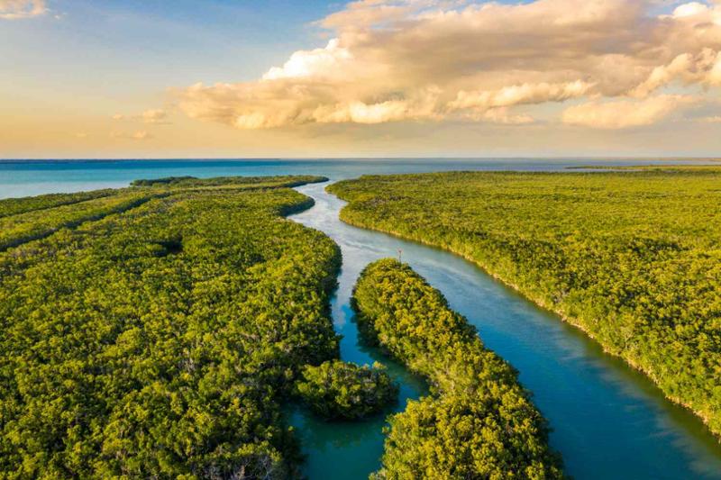 Ending the discharges & restoring the Everglades-1