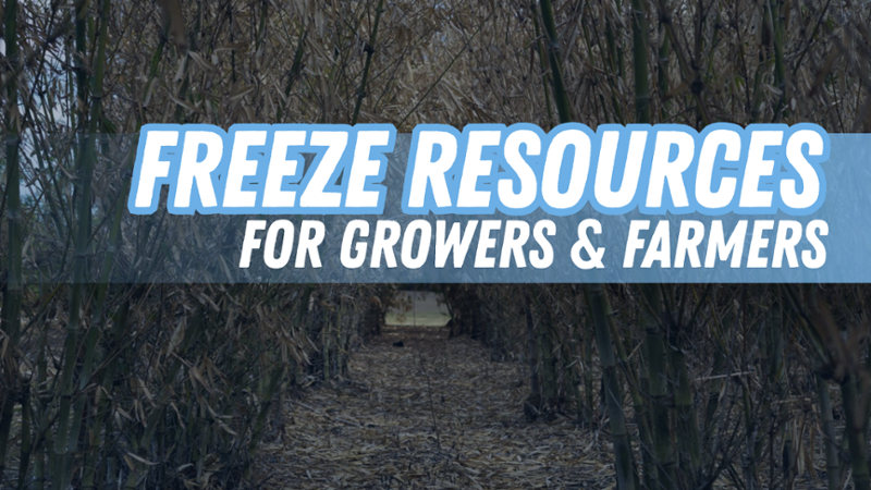 Freeze support for Florida's Farmers -1