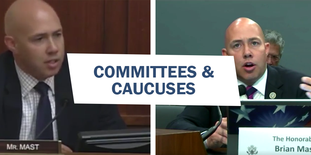 Committees and Caucuses