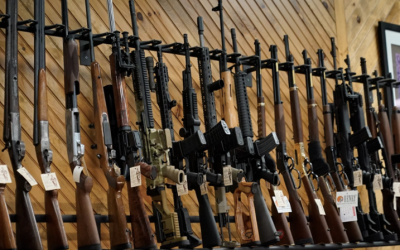 Protecting Our Second Amendment Rights