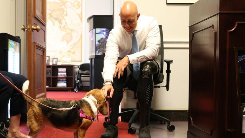 Ending Tax-payer Funded Animal Abuse