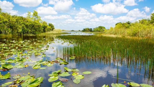 New Project To Send More Water South