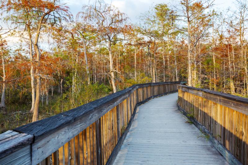 Good News for Florida’s Waterways