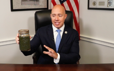Toxic Algal Blooms Are Back