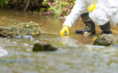 Getting Rid of “Forever Chemicals”