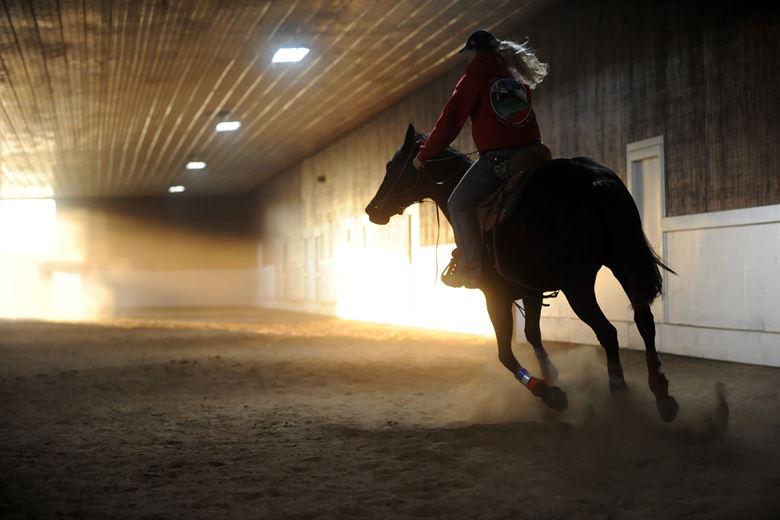 Bill Passed: Protecting Horses