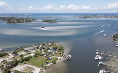 Defending Our Waterways From Capitol Hill To The Treasure Coast