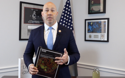 Lake O Fact Check #7 | Do Discharges Cause Toxic Release?