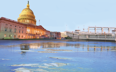 BIll to Combat Toxic Algal Blooms Passes the House