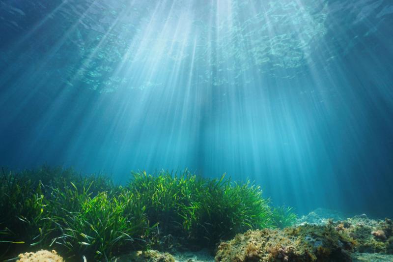 Working Together To Protect The Environment