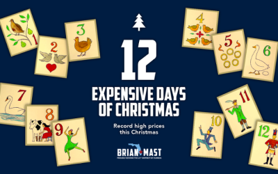 Twelve Expensive Days of Christmas