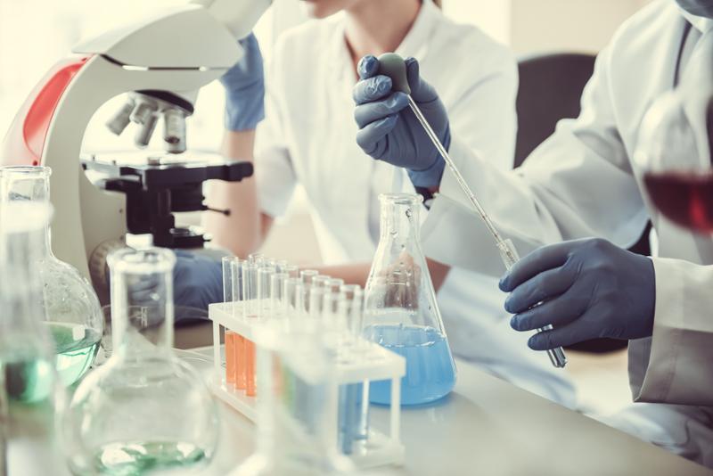 Supporting Our STEM Education And The Workforce