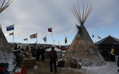 Cannabis Policy Should Be Decided By States & Tribes