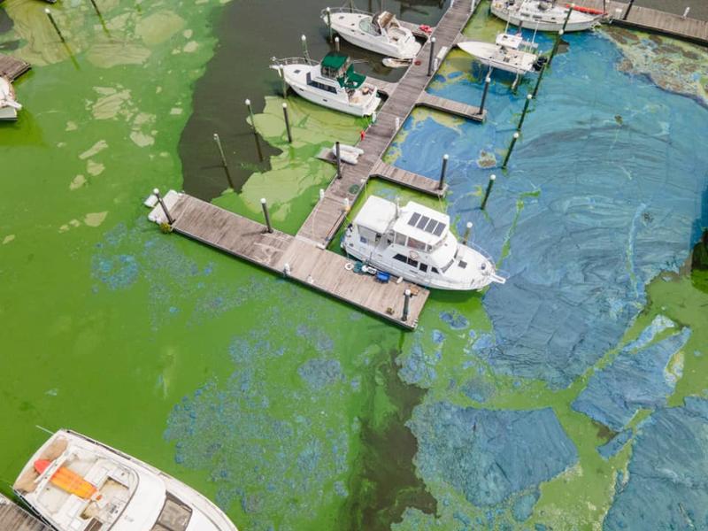 The EPA and City of Pahokee Need to Take Action NOW!