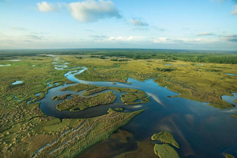 Congressional Hearing On Restoring The Everglades