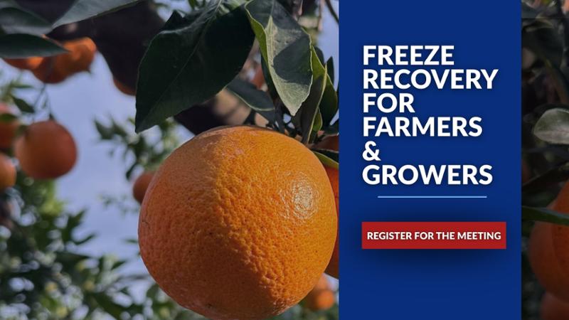 Freeze recovery for farmers & growers