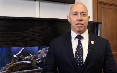 Lake O Fact Check #18 | Algae In The Lake