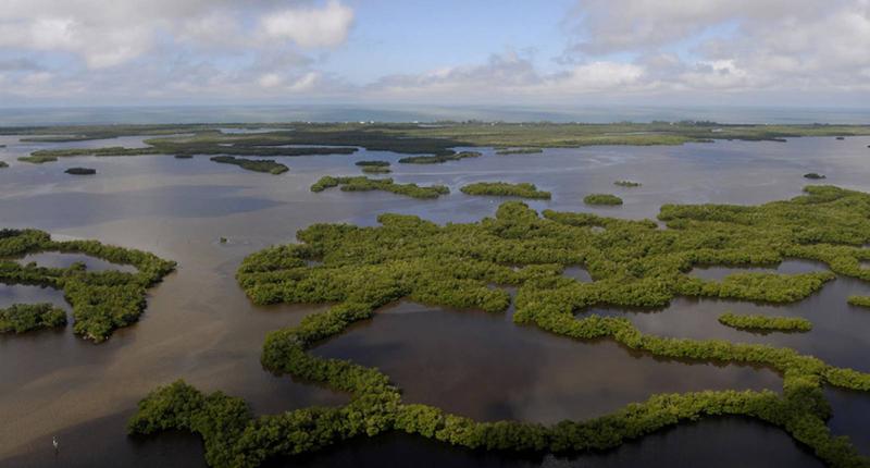What We Learned from Hurricane Ian…