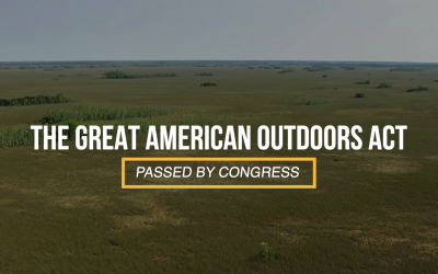 PASSED: Bill To Protect The Everglades