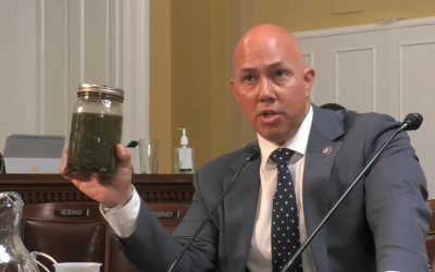 Clean Water for Our Estuaries