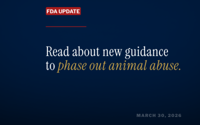 We’re finally moving away from animal testing