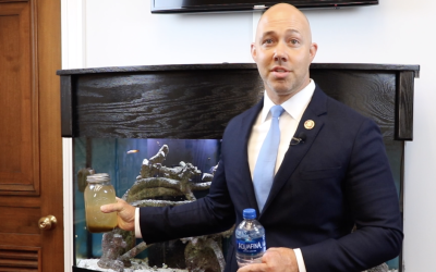 Lake O Fact Check #9 | Why Fresh Water Is Harmful To Our Estuary