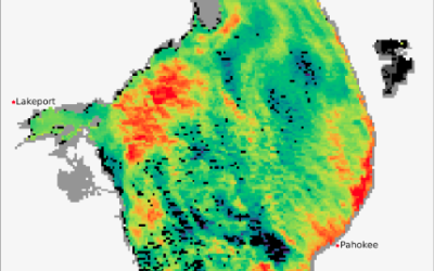 Algal Bloom on Lake O is now 500 Square Miles