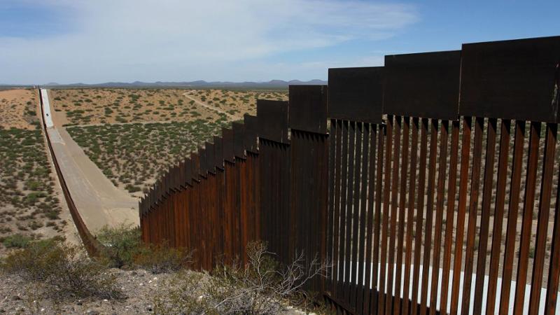 Protecting Women Against Illegal Aliens