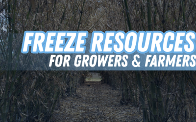 Freeze support for Florida’s Farmers